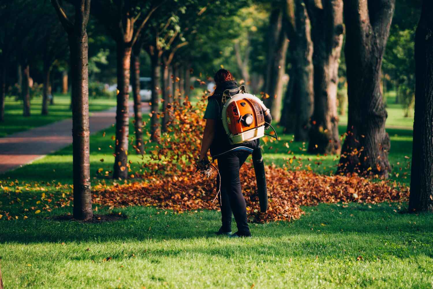 Best Tree Care Services  in Upper Grand Lagoon, FL